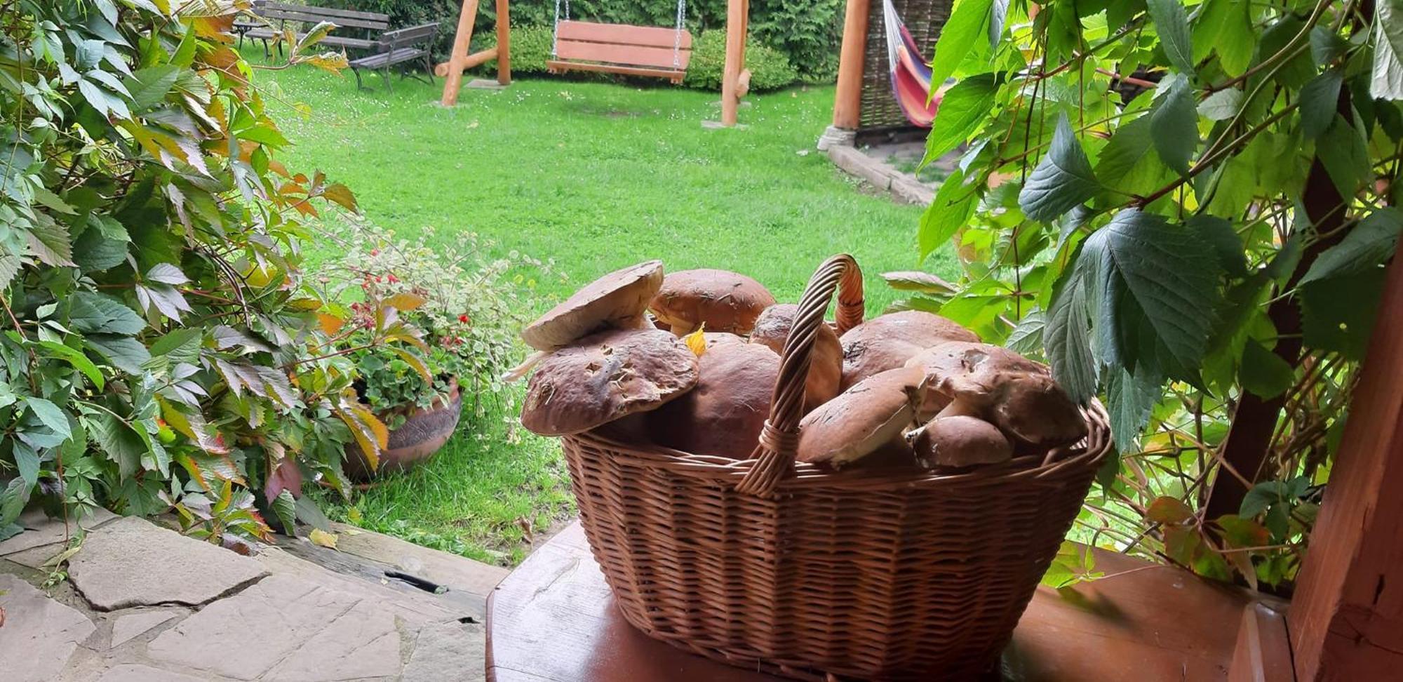 Pegazowa Wola Cisna Lägenhet Exteriör bild